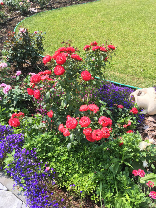 IMG_020452455417e6ee4db6.jpg