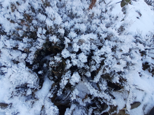 20201211_115053efb6182e980dd894.jpg