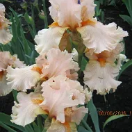 imaged7be41e828bfebf8.webp