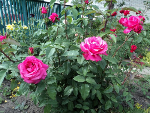 0b9f85028256