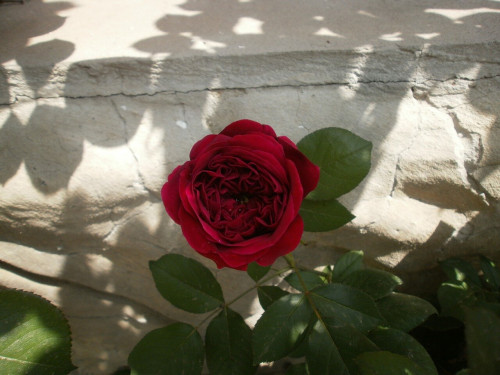 P5220143