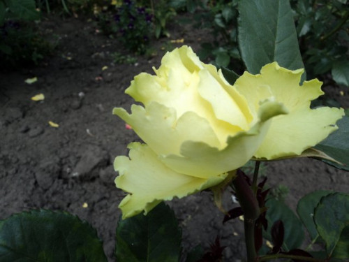 bb2b80f9e780