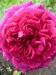 0_688ea_cf9b8d1e_XXS39b5413b498c6675.jpg