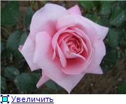 037891d1824at