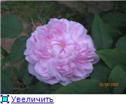 1eec25b3605ct