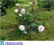 223ba20392b8t