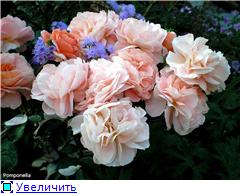 24a229f1d437t