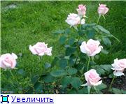 304d3f138509t