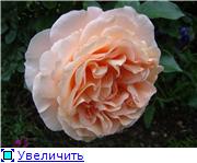 36e7dadbcf73t