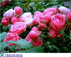 3fc34235ca53t