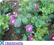 7d36b6b143e4t