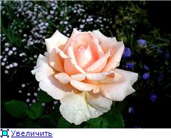 8430469e8287t