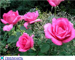 951445878c42t