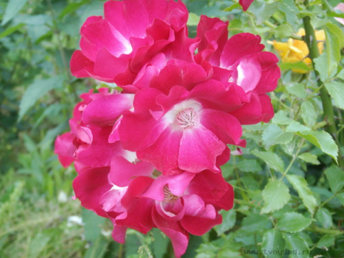 PICT0104d99b4820060261cb.png