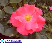a323f0b8d327t