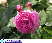 a689462975d3t