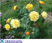 b8f3df7382aft
