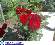 c11b37a64c16t