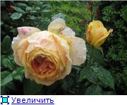 c9a28956c6b8t