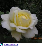 da08a9c0ea21t