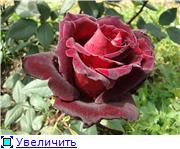 f4b0b857a6b8t