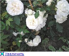 f8d2249299ddt
