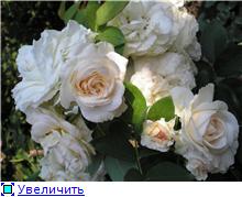fb70e25b3272t