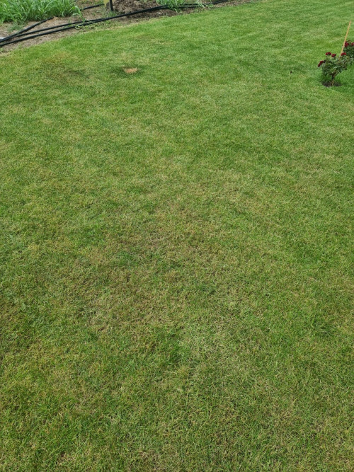 b5aec1242c32359f9.jpg