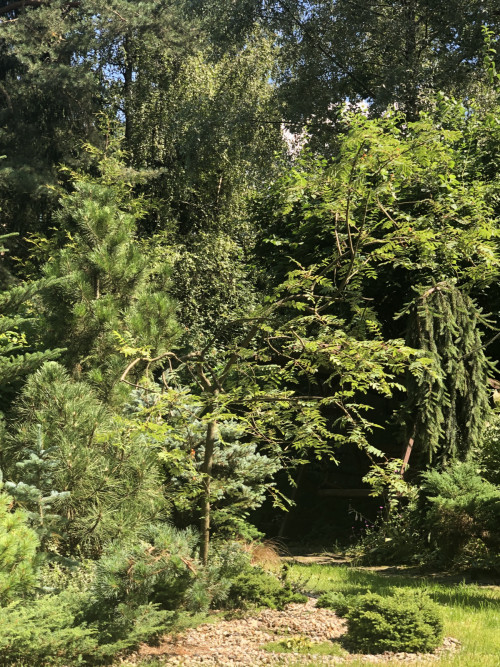 35607533d0d7204c2d483870.jpg