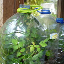 P1410932b4a96f060f50277b