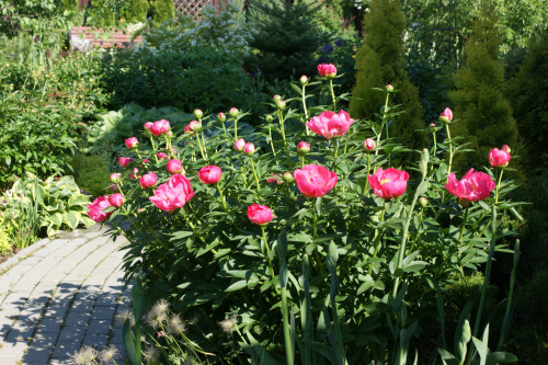 DSC04943c5309ec434fef65c.jpg