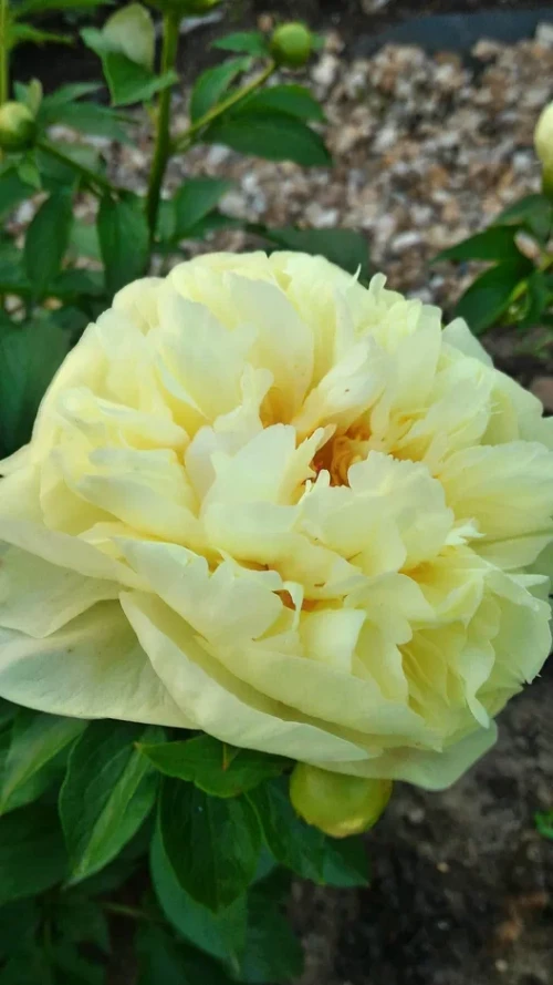 2019-05-31-20-25-2921aadb85c5a86e28.webp