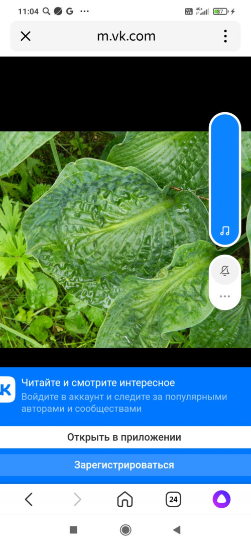 Screenshot_2022-07-20-11-04-26-606_ru.yandex.searchplugin182d6995253ca95c.jpg